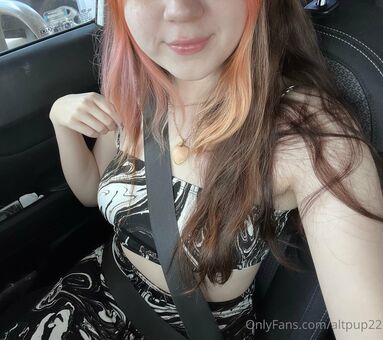 altpup22