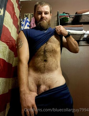 bluecollarguy7994