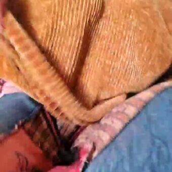 Cami Sweet Nahé Úniky OnlyFans Fotka 40