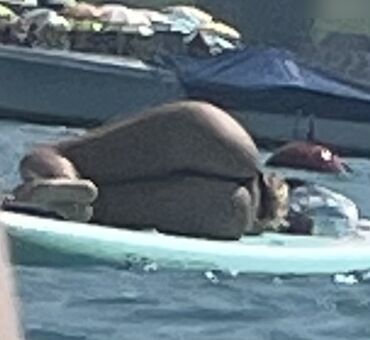 Candids Nahé Úniky OnlyFans Fotka 37