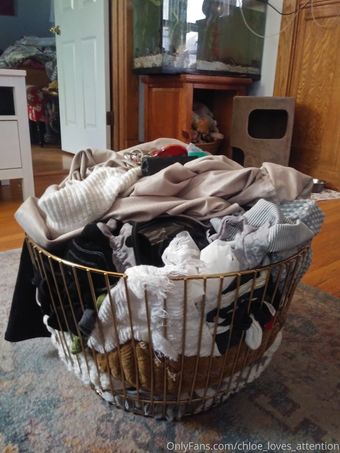 chloe_loves_attention