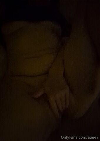 Ebee7