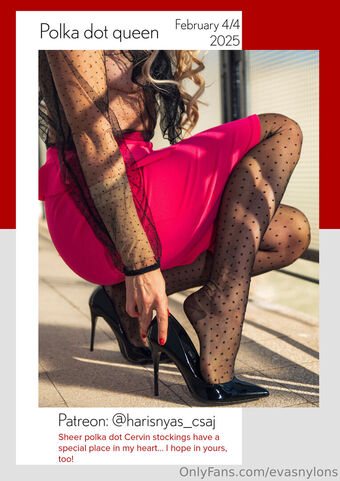 evasnylons