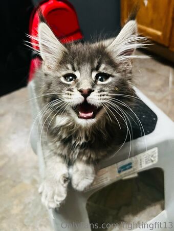 fightingfit13 Nahé Úniky OnlyFans Fotka 17