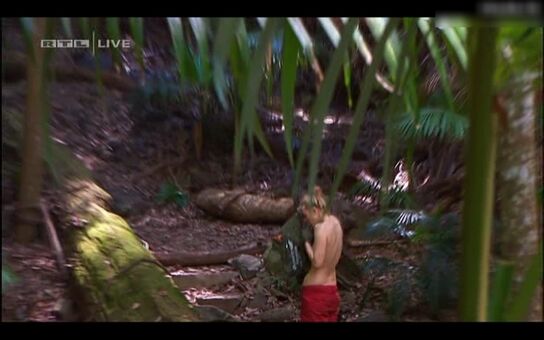 Ich bin ein Star – Holt mich hier raus!