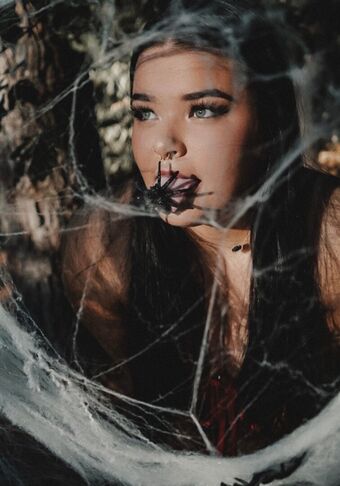 laneyfox