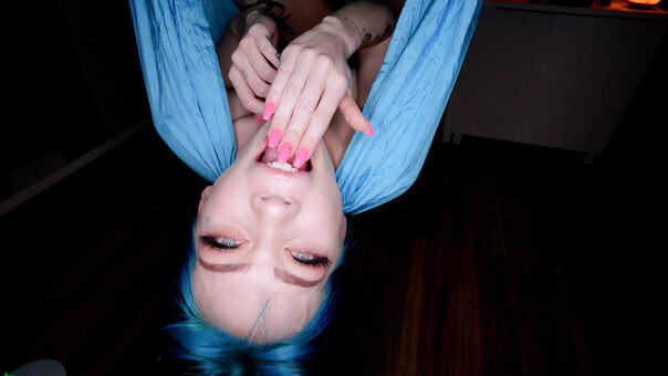 Leda Bear