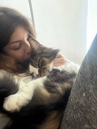 majakitty