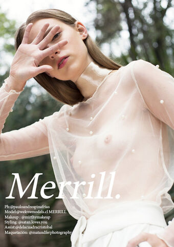 Merrill Hersam