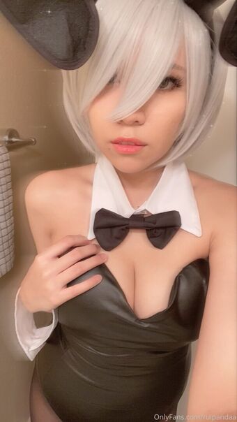Ruipandaa