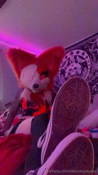 sakurasgotgass