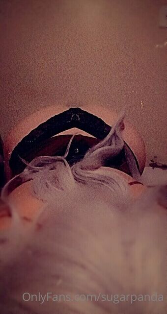 sugarpanda Nahé Úniky OnlyFans Fotka 11