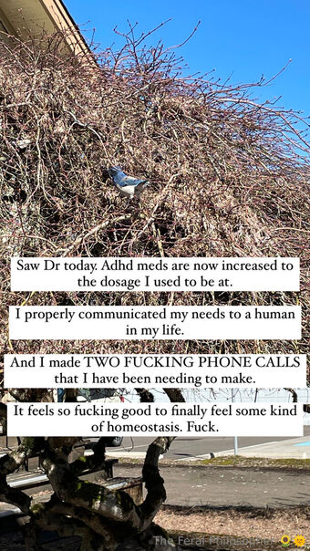 theferalphilosopher