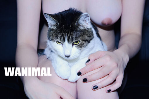 Wanimal Models
