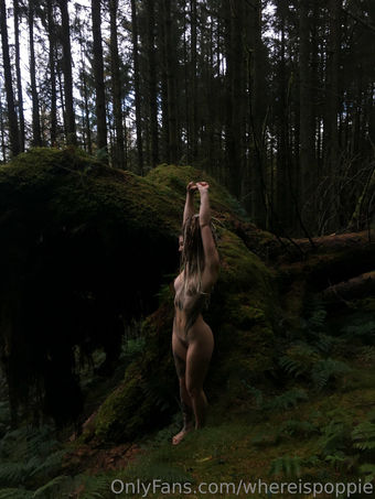 whereispoppie