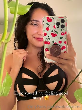 Wokies Asmr